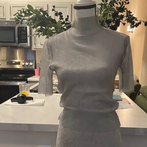 Elegant  All Sheer 2pc set Gray Maxi Skirt and top